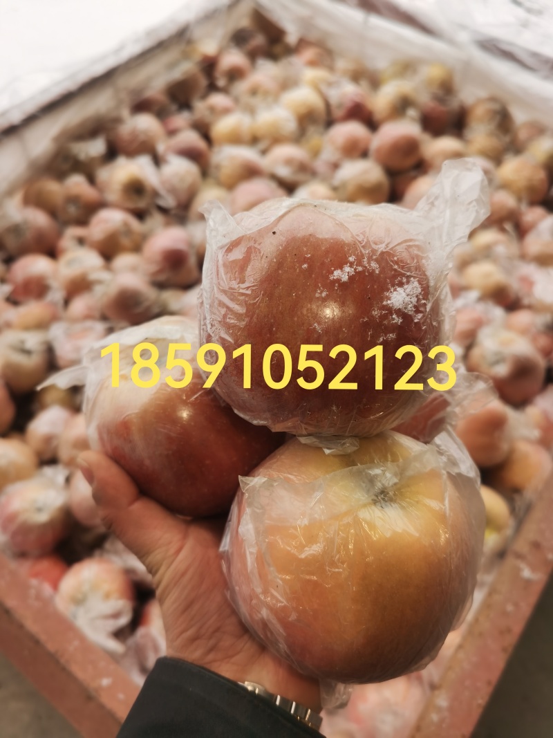 半山膜袋冰糖心红富士苹果/口感脆甜17个糖年前后热销推荐