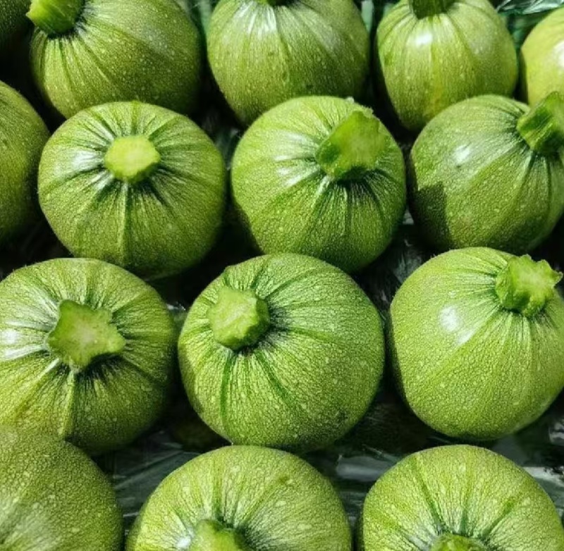 圆小瓜