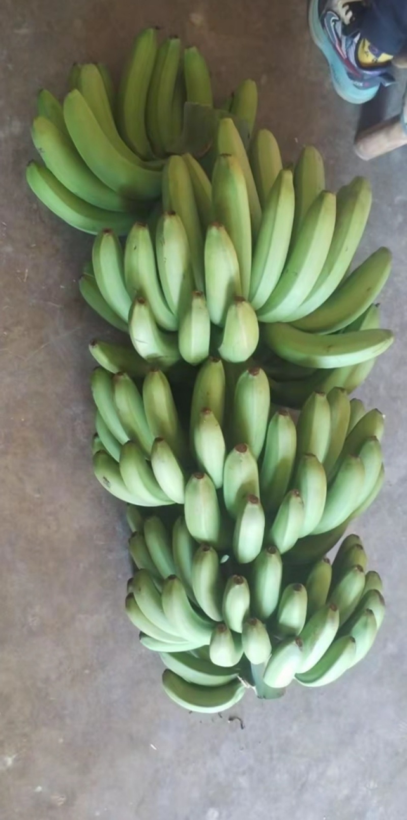 香蕉