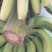 香蕉