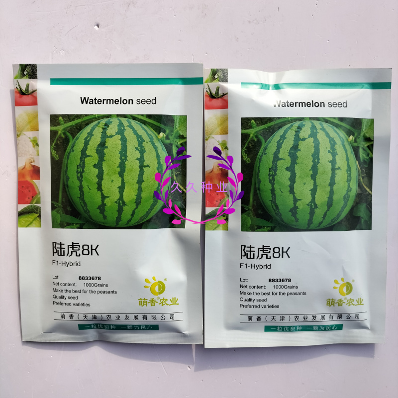 陆虎8K西瓜种子早熟高产礼品小西瓜种籽春夏秋四季播种