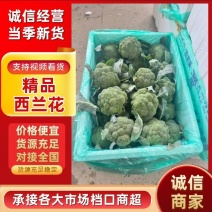 【平台力推】产地直发【包装齐全】质量上乘【精品西蓝花】好