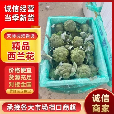 【平台力推】产地直发【包装齐全】质量上乘【精品西蓝花】好