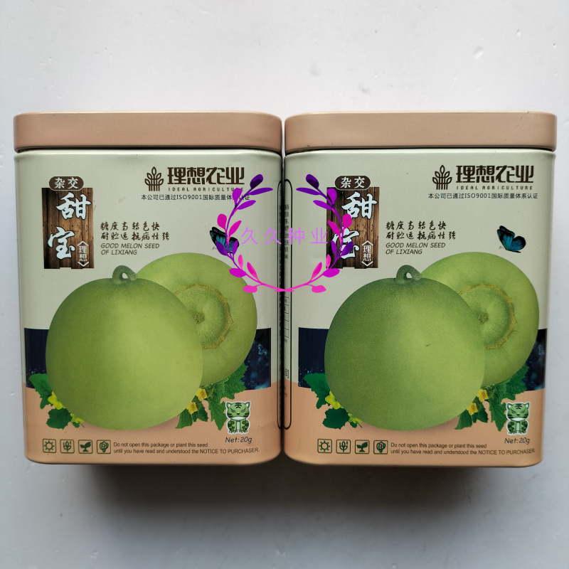 理想甜宝甜瓜种子早熟子孙蔓结瓜果实圆球形果肉绿白肉厚脆甜