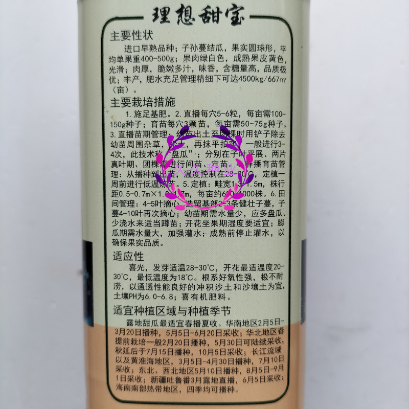 理想甜宝甜瓜种子早熟子孙蔓结瓜果实圆球形果肉绿白肉厚脆甜