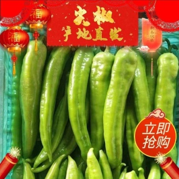 【实力商家】产地直发【实事求是】保质保量【物流全国】尖椒