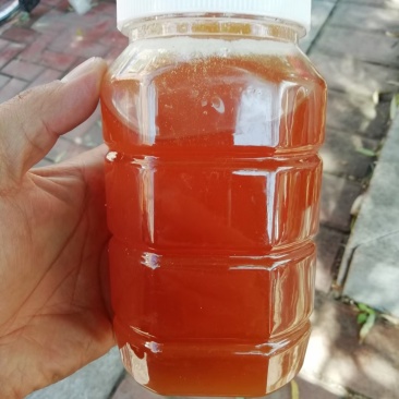 陕西秦岭山土蜂蜜波美度41