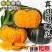 【精品贝贝瓜】产地直发【保质保量】诚实守信【全国发货】好