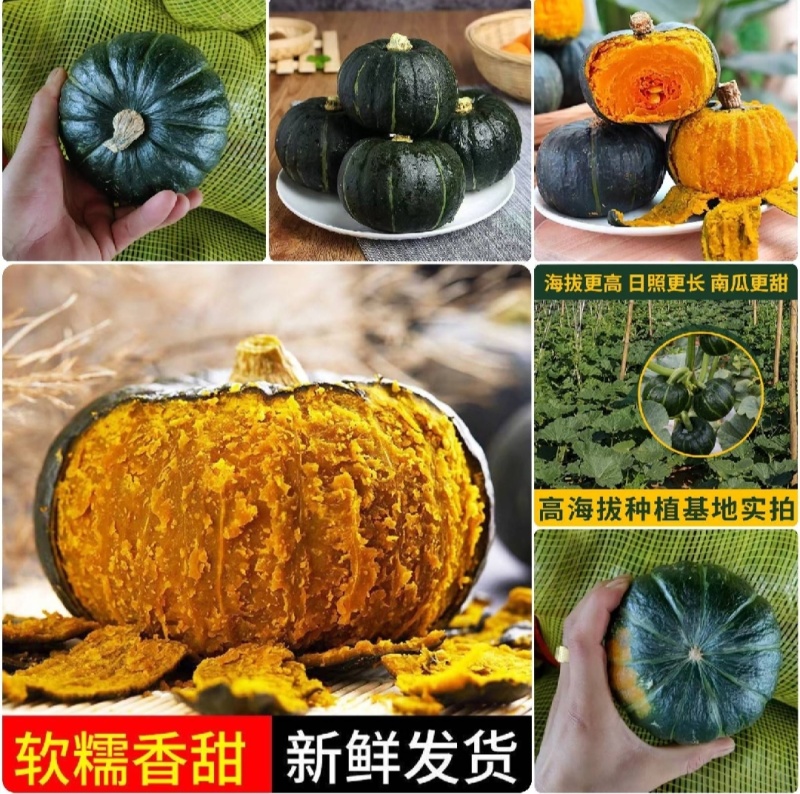 【精品贝贝瓜】产地直发【保质保量】诚实守信【全国发货】好