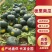 【精品贝贝瓜】产地直发【保质保量】诚实守信【全国发货】好