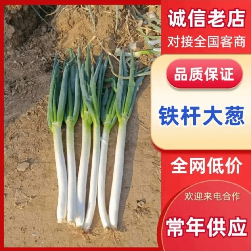 【平台力推】【产地直发】【量大从优】【视频看货】物美价廉