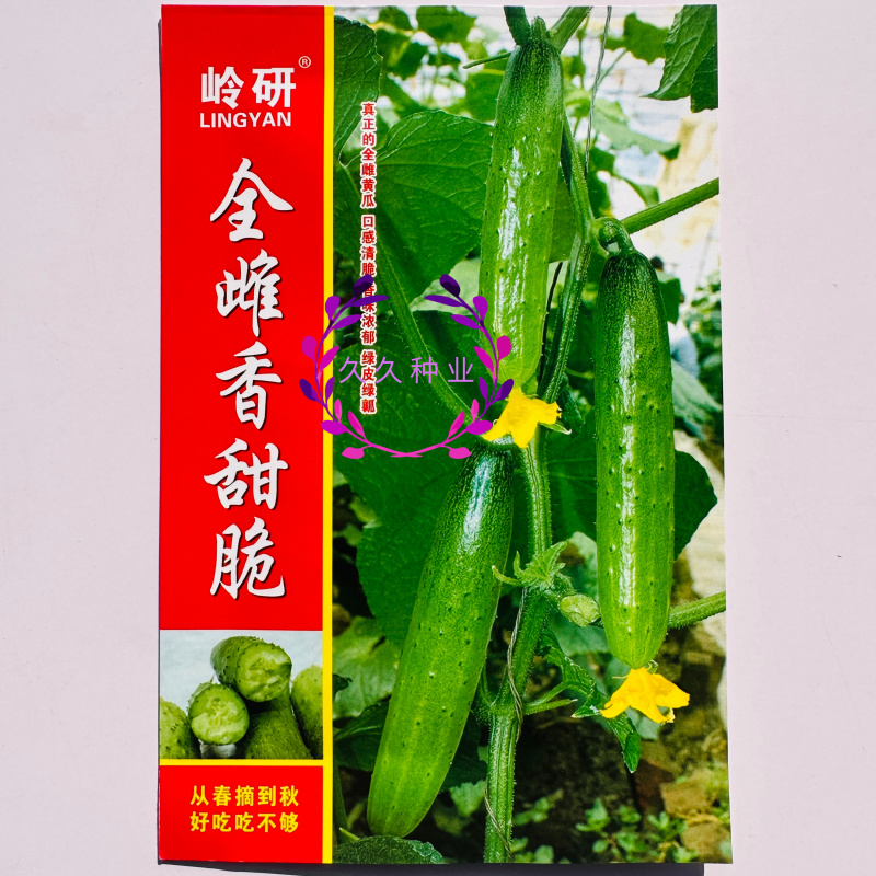 岭研全雌香甜脆口感好全雌黄瓜种子香味浓熟期早节节有瓜油亮