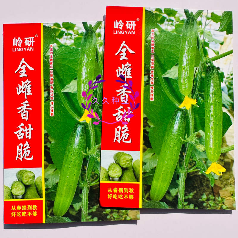 岭研全雌香甜脆口感好全雌黄瓜种子香味浓熟期早节节有瓜油亮
