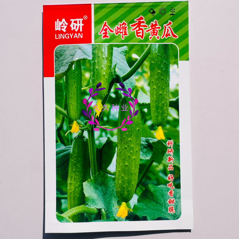 岭研全雌香黄瓜种子杂交旱黄瓜绿皮绿瓤质脆微甜水果黄瓜籽