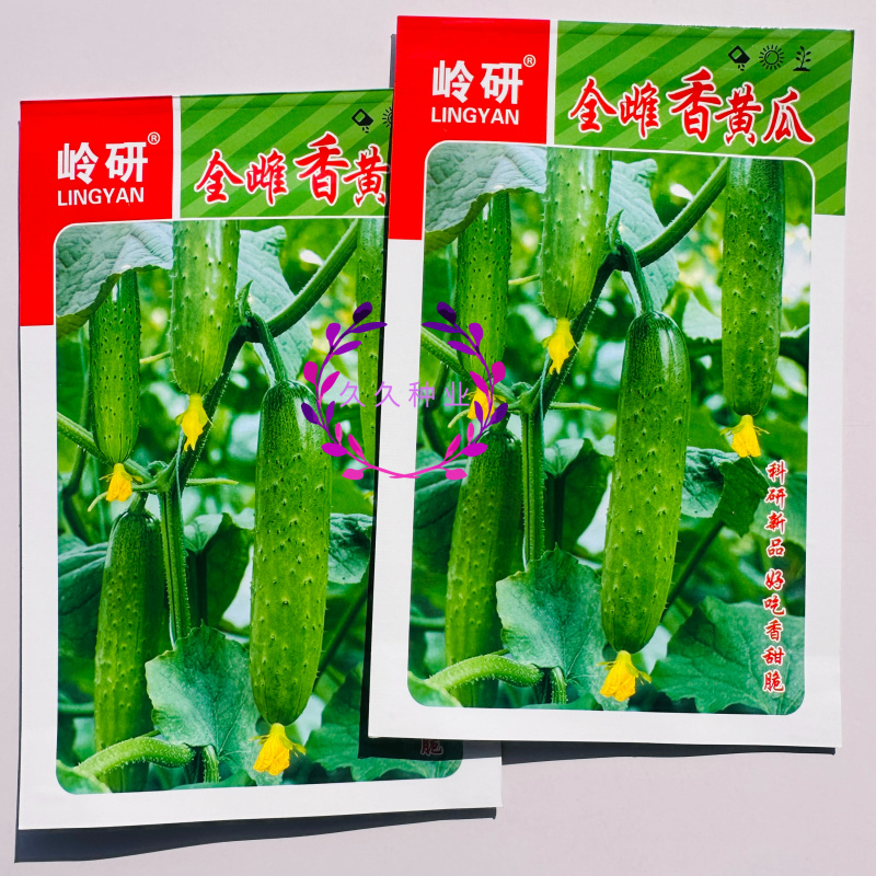 岭研全雌香黄瓜种子杂交旱黄瓜绿皮绿瓤质脆微甜水果黄瓜籽