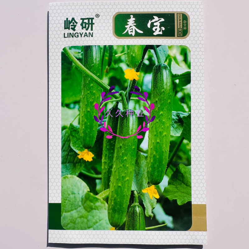 岭研春宝黄瓜种子春秋两季甜脆水果黄瓜种子强雌旱黄瓜种籽