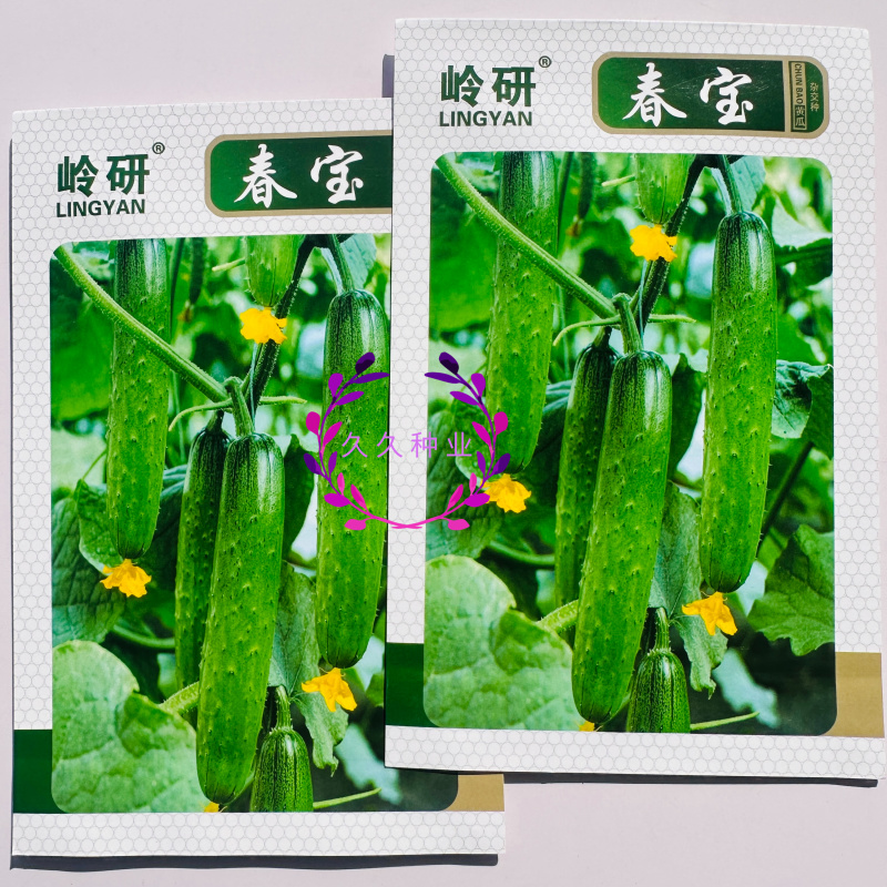 岭研春宝黄瓜种子春秋两季甜脆水果黄瓜种子强雌旱黄瓜种籽