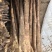 精品山药榆林紫药铲和小巴掌基地一手货源全国发可视频