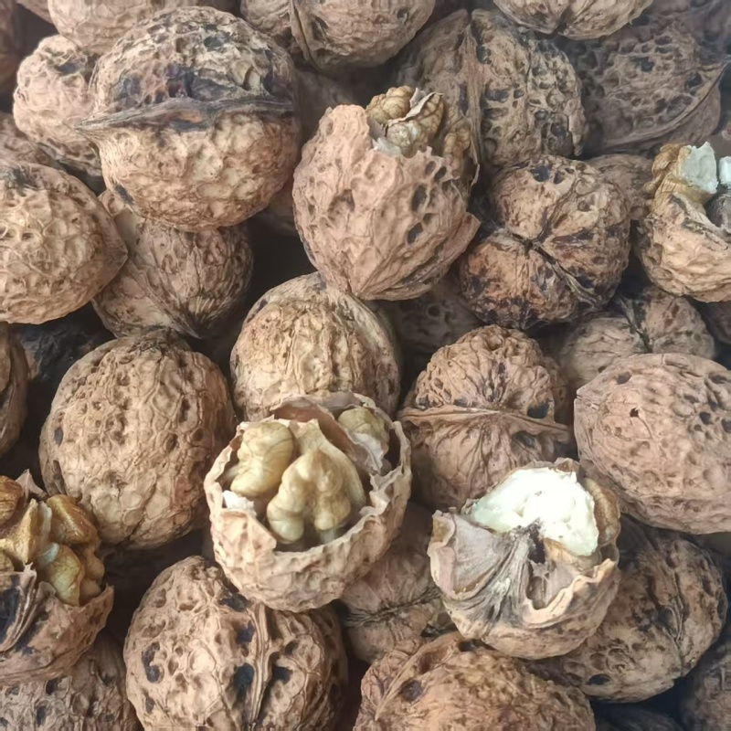 纸皮核桃
