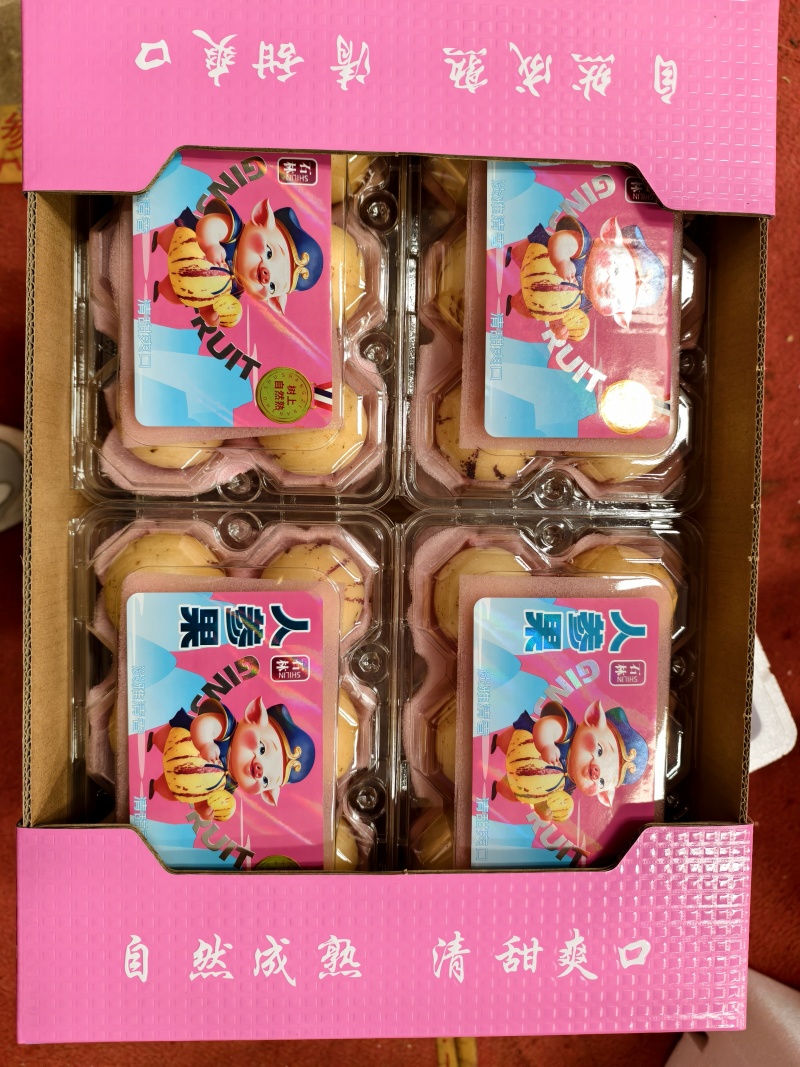云南蒙自人生果