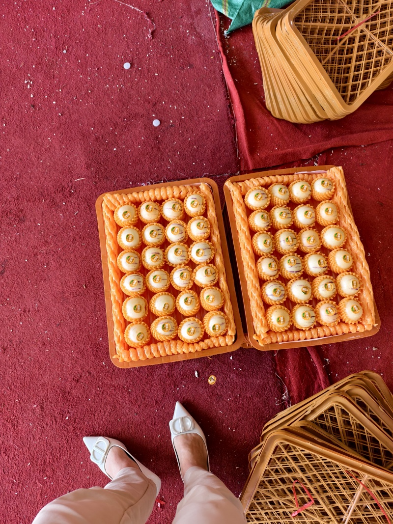 云南蒙自人生果