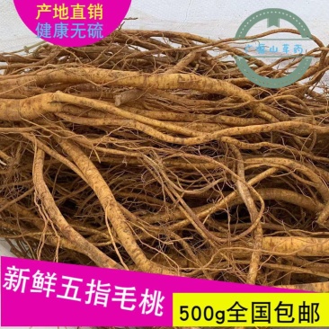 新鲜五指毛桃