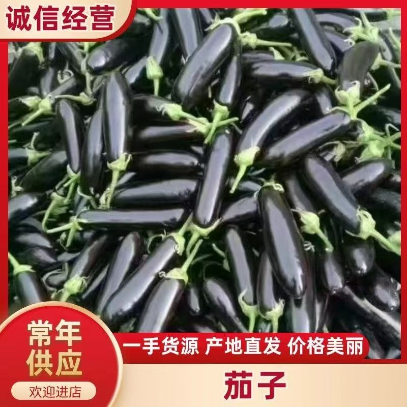 【实力商家】产地直发【保质保量】诚信代办【全国发货】绿裤