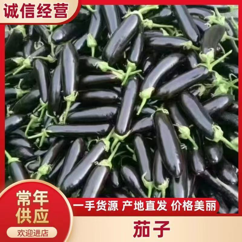【实力商家】产地直发【保质保量】诚信代办【全国发货】绿裤