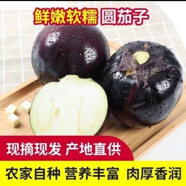 【实力商家】产地直发【保质保量】诚信经营【全国发货】紫光