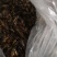 有六百斤冷冻的蟋蟀，有要的联系我