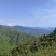 广西农家瑶山老品种山茶油