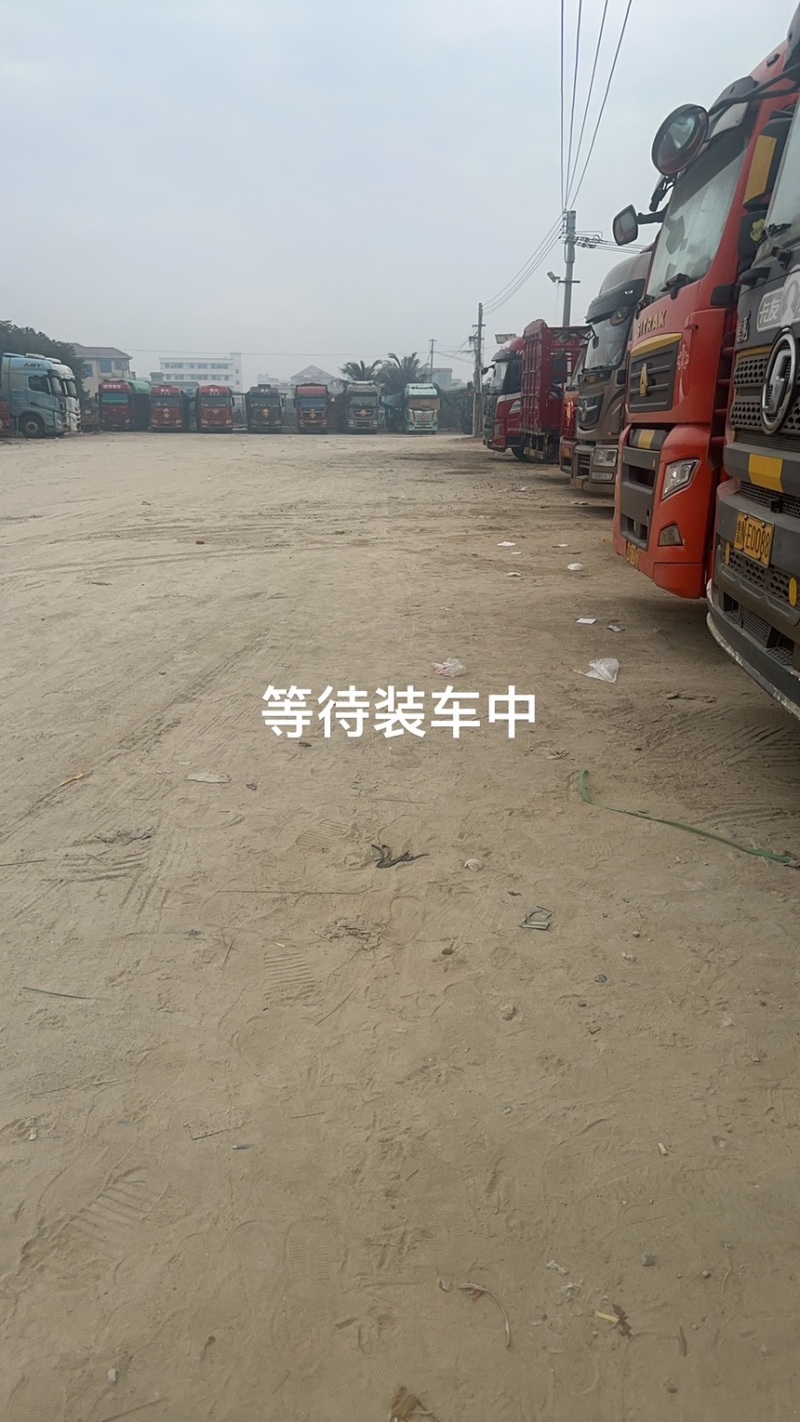 为货主、企业派车调车服务、承接国内外物流运输