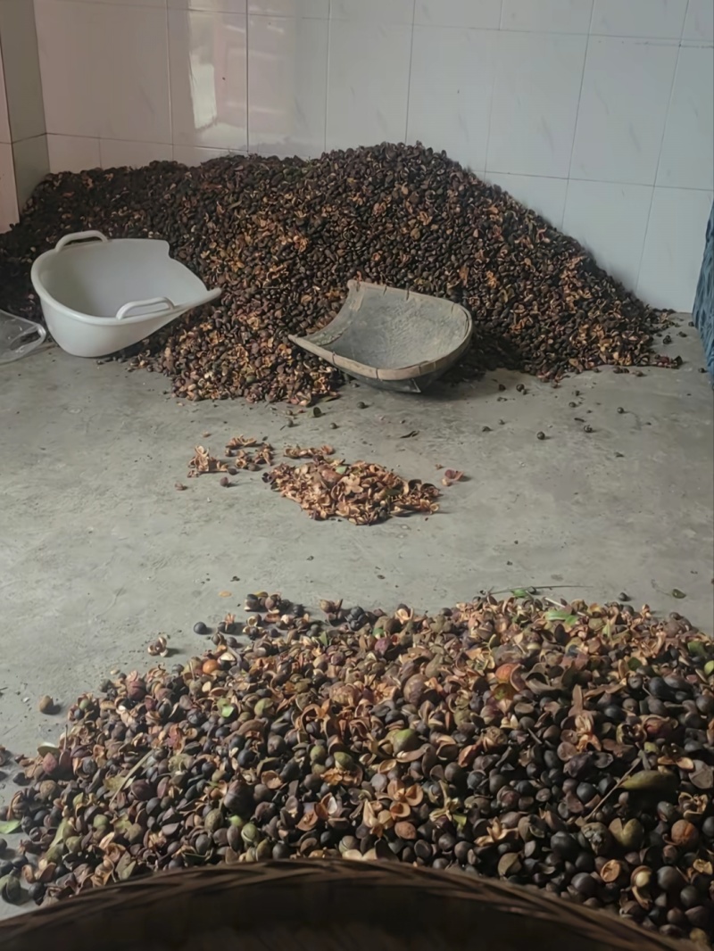 江西自榨山茶油纯正土茶油月子油湖南油茶籽油木子油广西山茶