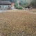 江西自榨山茶油纯正土茶油月子油湖南油茶籽油木子油广西山茶