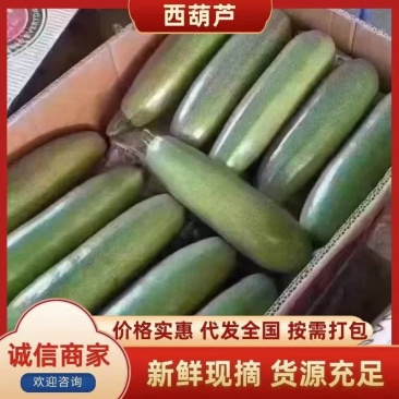 【实力商家】产地直发【对接超市】货量充足【价格合理】西葫