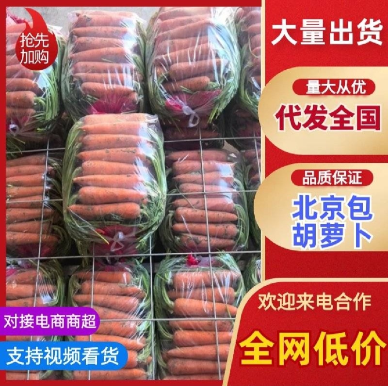 【实力商家】产地直发【诚信经营】保质保量【超市直供】胡萝