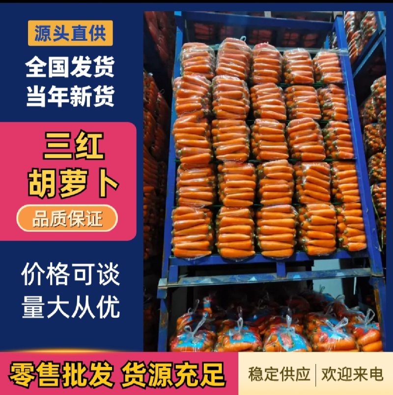 【实力商家】产地直发【诚信经营】保质保量【超市直供】胡萝