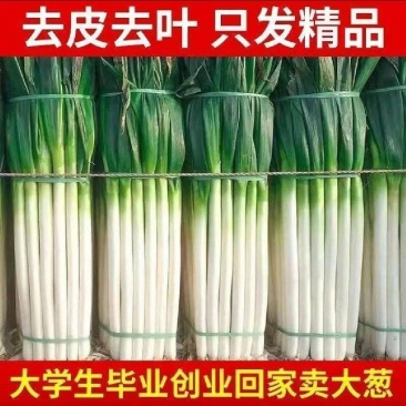 【平台力推】【产地直发】【量大从优】【视频看货】物美价廉