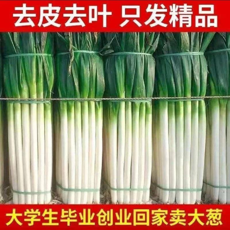 【平台力推】【产地直发】【量大从优】【视频看货】物美价廉