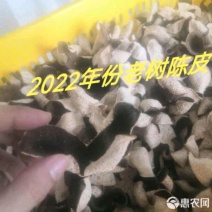 新会陈皮样品款