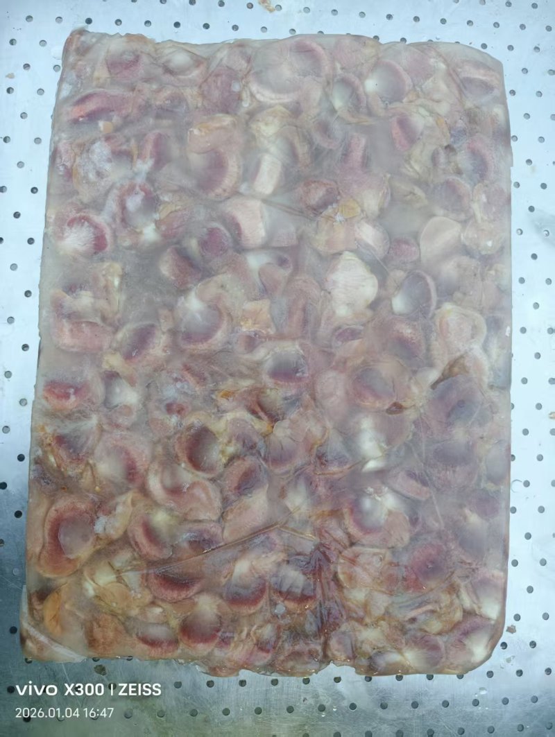 麻鸭胗