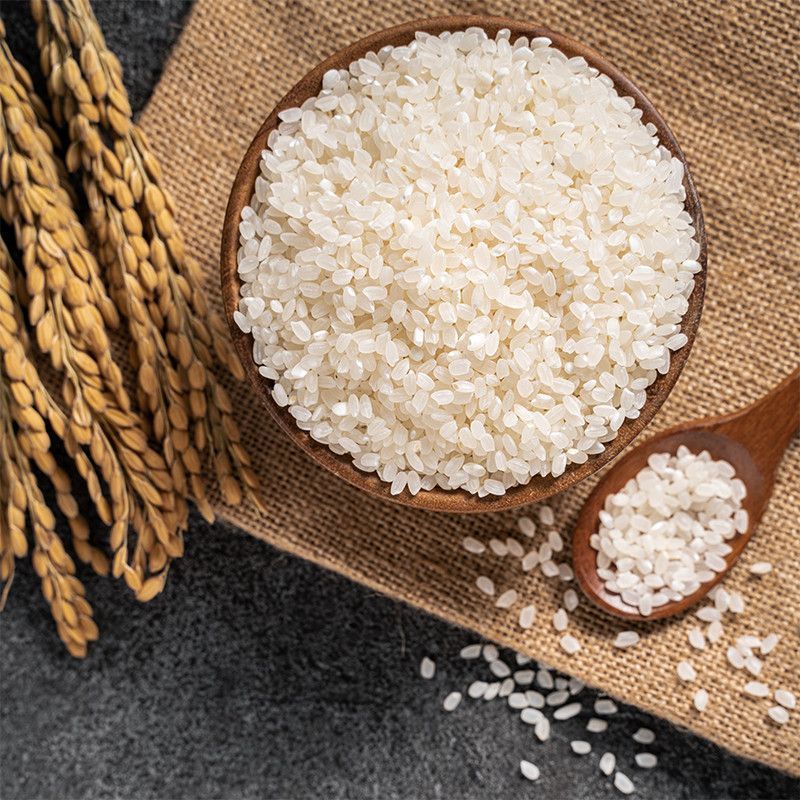 东北大米颗粒饱满稻花香按需包装规格齐全大量发货
