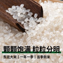 东北大米颗粒饱满稻花香按需包装规格齐全大量发货