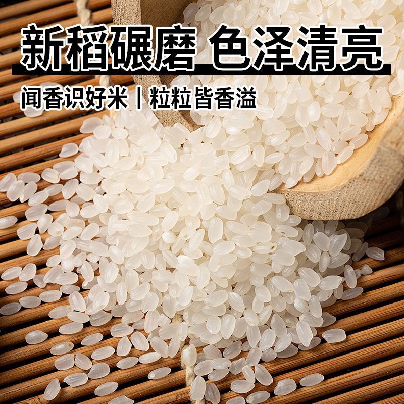 东北大米颗粒饱满稻花香按需包装规格齐全大量发货