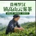 贵州普安罗汉镇高山云雾茶高山绿茶散装茶叶商批量批发