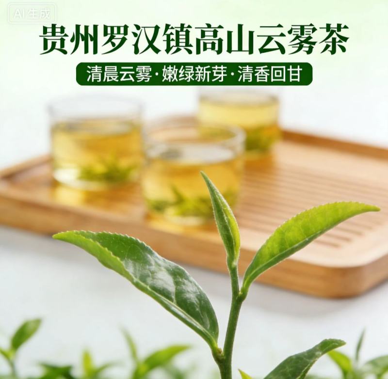 贵州普安罗汉镇高山云雾茶高山绿茶散装茶叶商批量批发