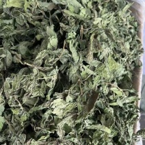 薄荷干有售