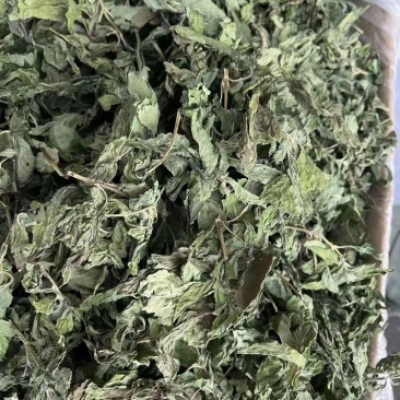 薄荷干有售