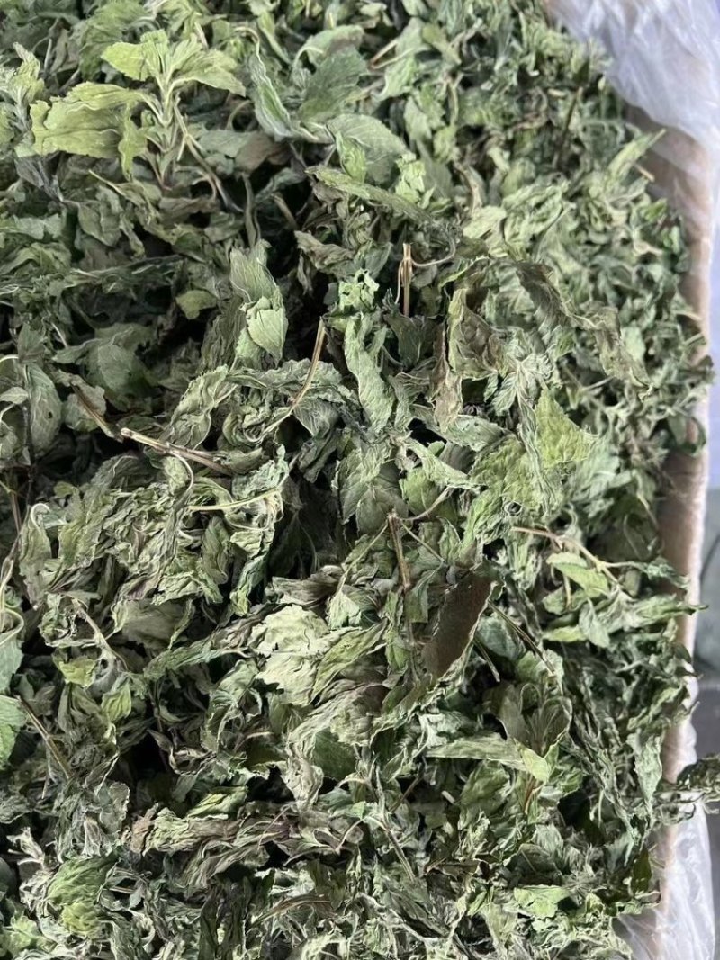 薄荷干有售