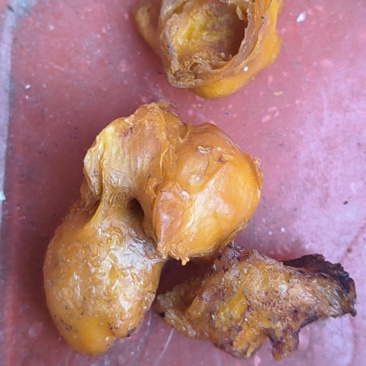 最新鸡宝